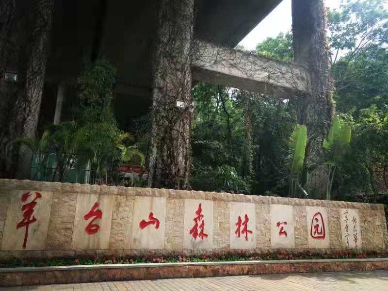 領(lǐng)航集團(tuán)年深圳羊臺(tái)山之行